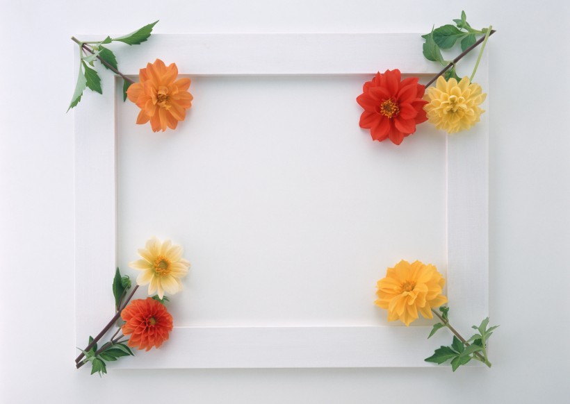 缠绕相框的花朵图片(14张)