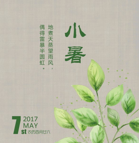 24节气小暑设计素材图片(12张)