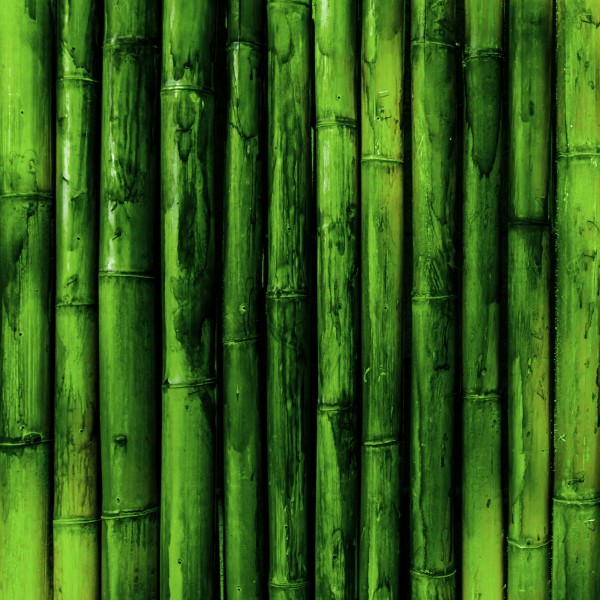 成排的竹子背景素材图片(15张)