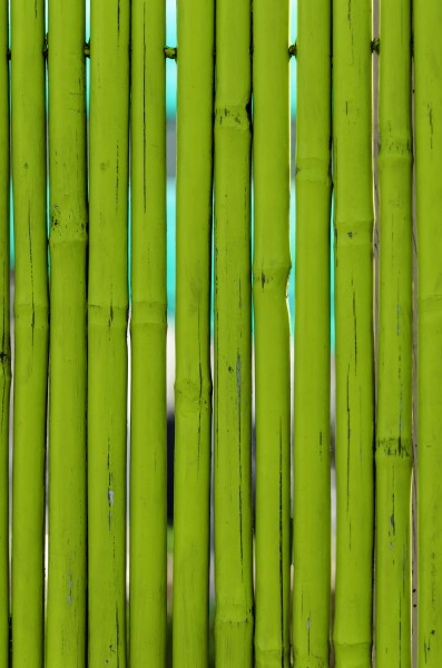 成排的竹子背景素材图片(15张)