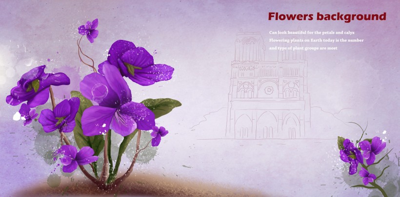 紫色系手绘花朵明信片图片(14张)