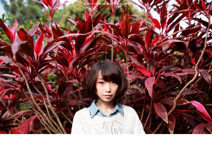 小清新萝莉憧憬纯真甜美恋爱