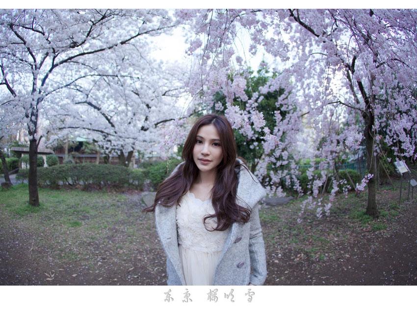 东京樱花雨中的气质靓丽女神