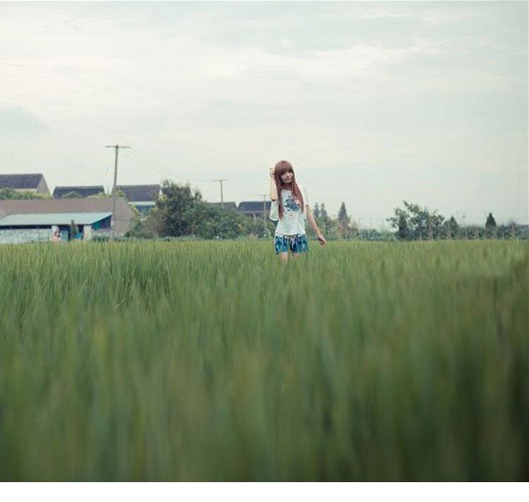 夏日乡间的清新秀丽女孩