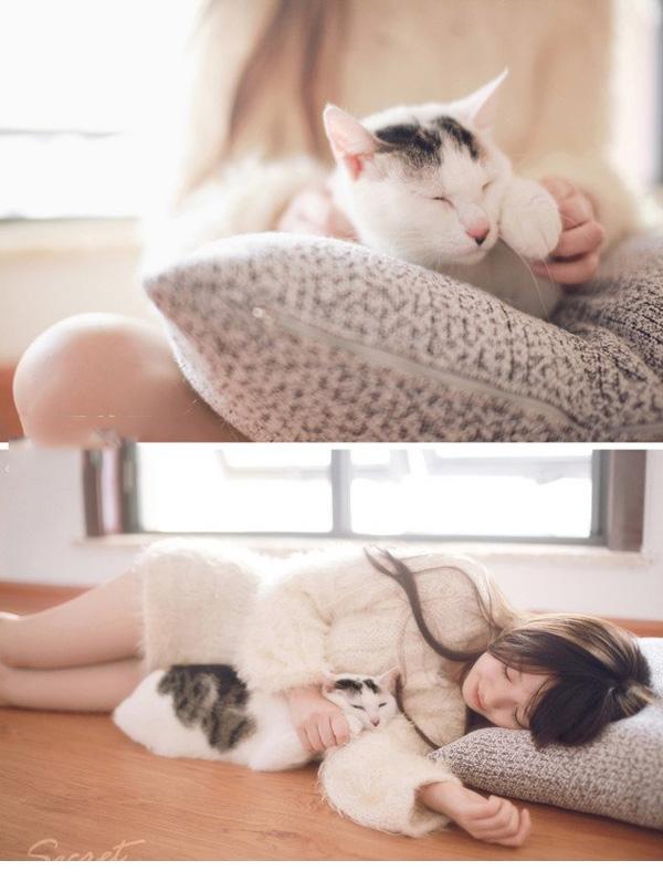 可爱小猫女与爱猫清新照