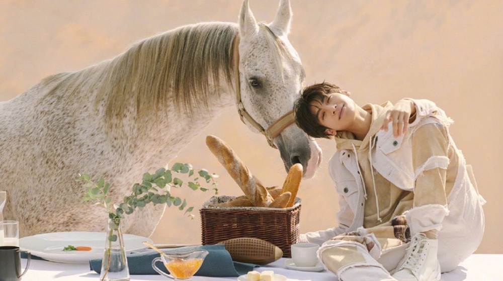 罗云熙英伦风帅气与马一起拍摄的写真图片