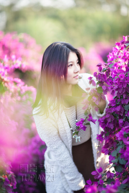 秋末女孩花中游玩 模样清纯可人