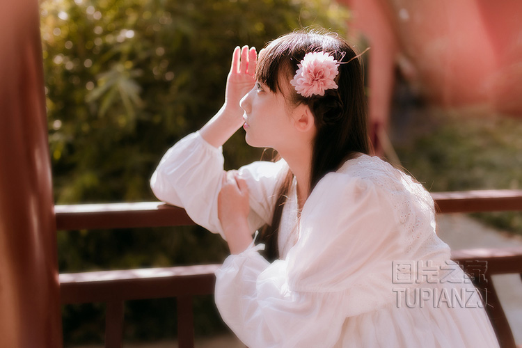 清甜少女唯美图 落花时节又逢君