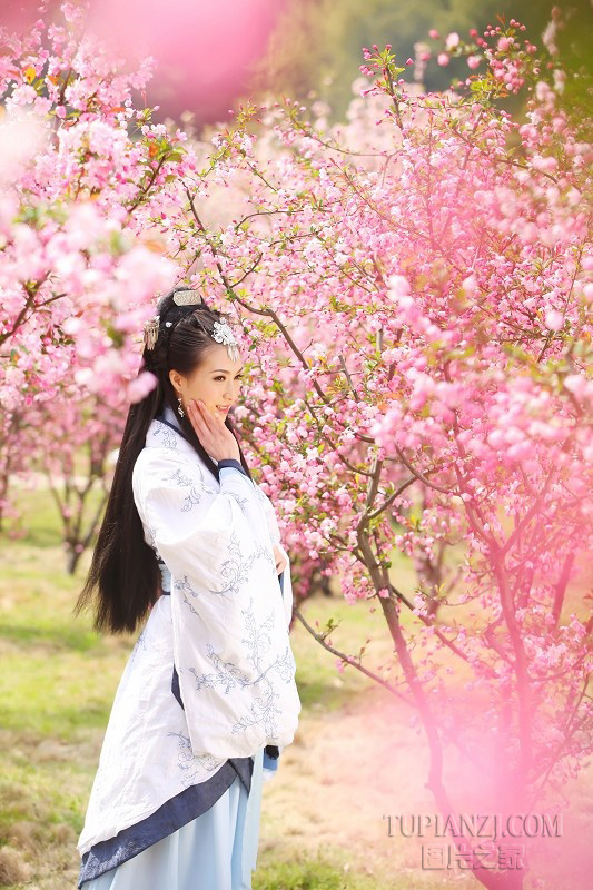 古典美女写真图片 花中美女美如画