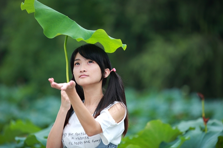 出淤泥而不染的荷花少女