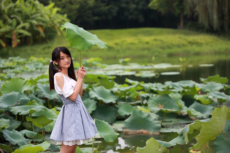 出淤泥而不染的荷花少女