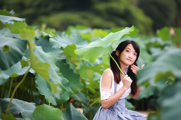 出淤泥而不染的荷花少女