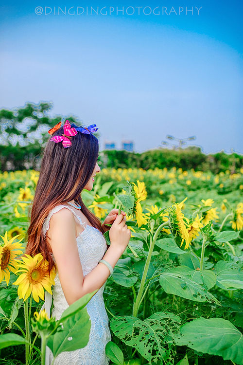 清纯靓丽的向日葵少女