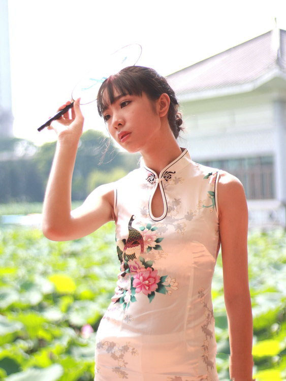 荷花塘边的美艳旗袍少妇