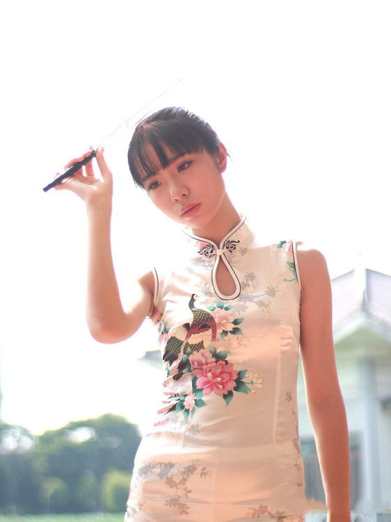 荷花塘边的美艳旗袍少妇