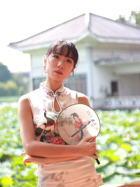 荷花塘边的美艳旗袍少妇