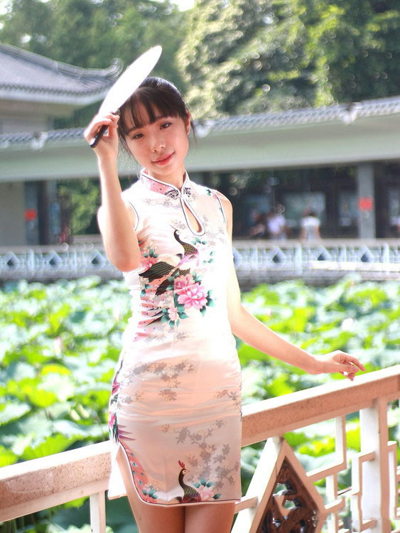 荷花塘边的美艳旗袍少妇