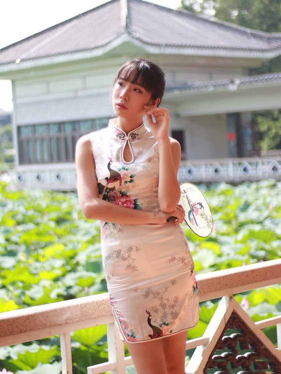 荷花塘边的美艳旗袍少妇