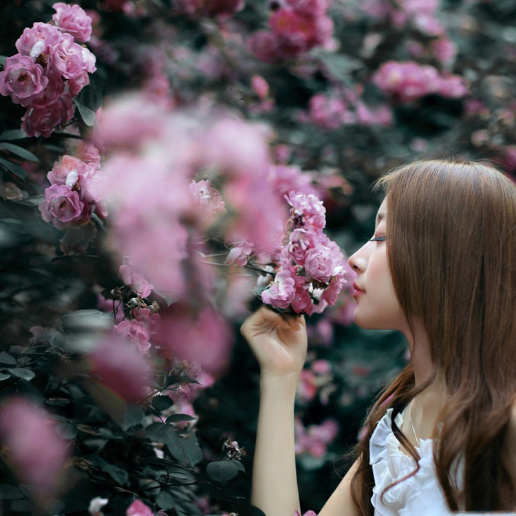 花开的季节完美的邂逅