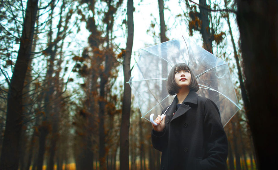 雨后森林中的那一抹寂静