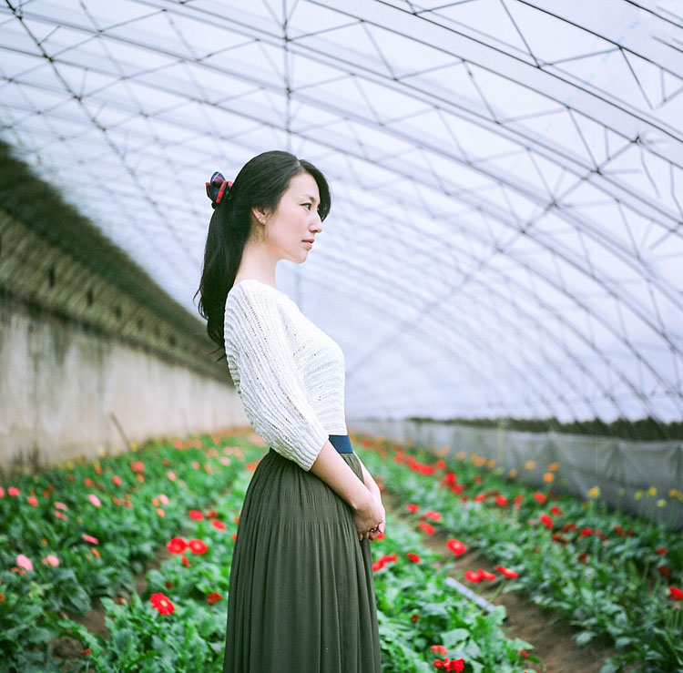 花棚中的唯美少女