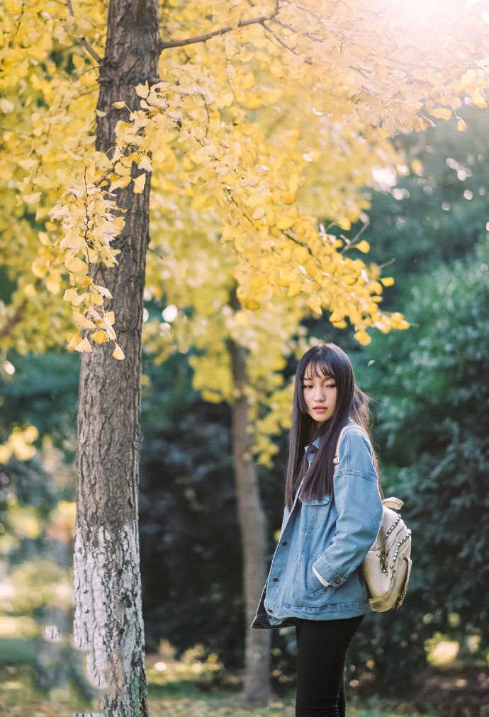 晚秋下的唯美少女