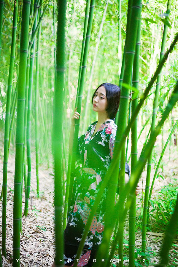 绿野踪影的古典优雅少女