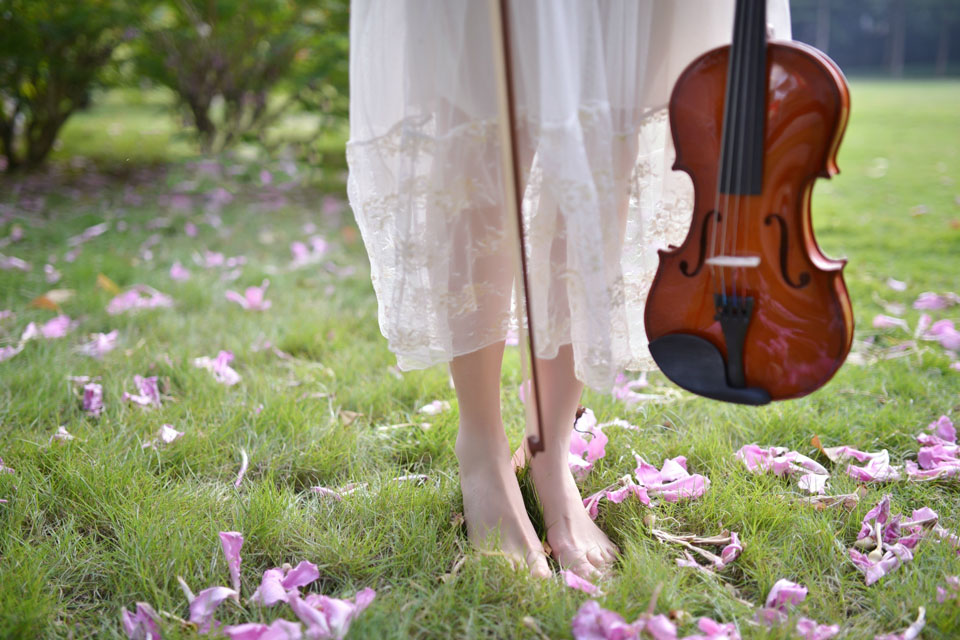 小提琴少女的花开花落