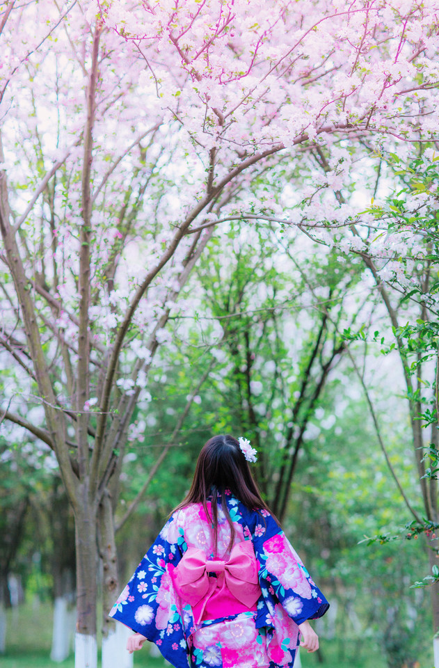 春来桃花开清纯美女和服