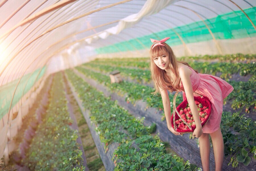 粉系姑娘带你逛草莓园