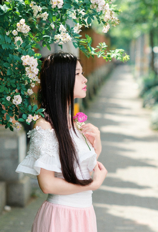 蔷薇花下温婉的长发女子