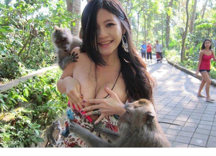 猴抓妹陈维芊遭袭袒胸露乳图片