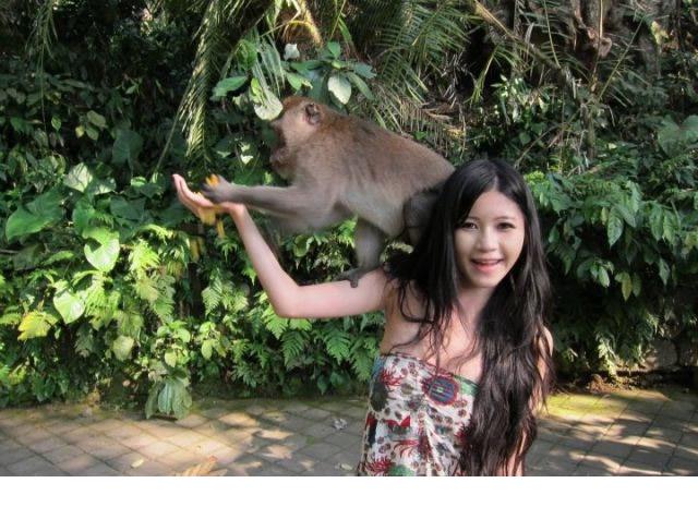 猴抓妹陈维芊遭袭袒胸露乳图片