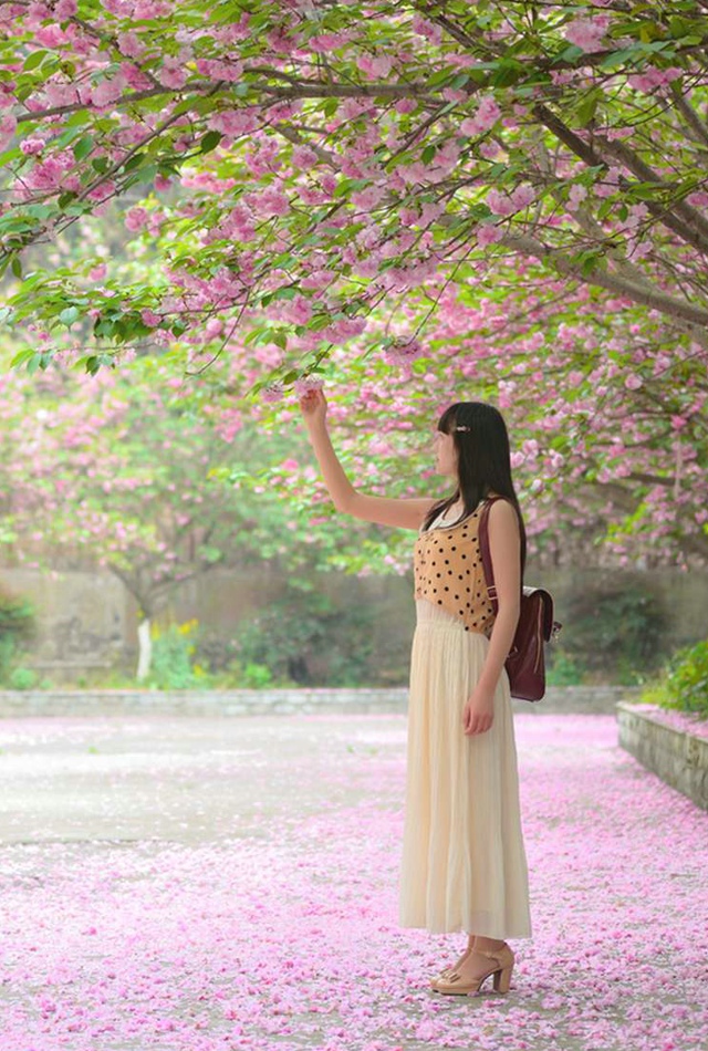 樱花盛开的季节美女自会到来