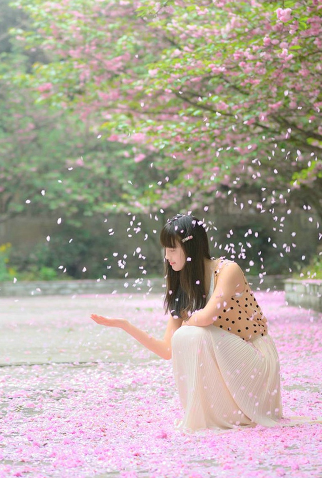 樱花盛开的季节美女自会到来