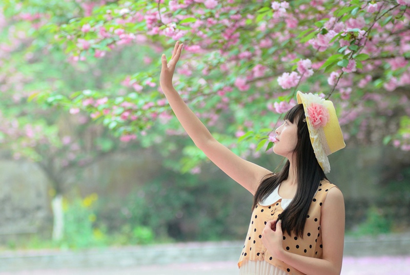 樱花盛开的季节美女自会到来