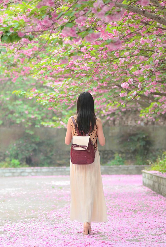 樱花盛开的季节美女自会到来