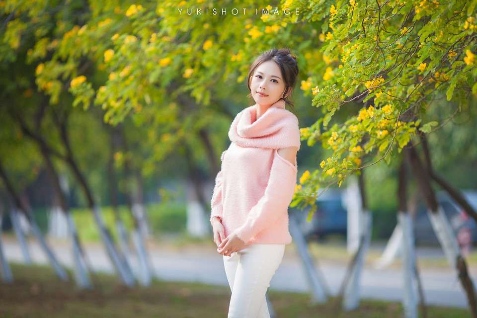 秋日清爽美女枫叶下的写真