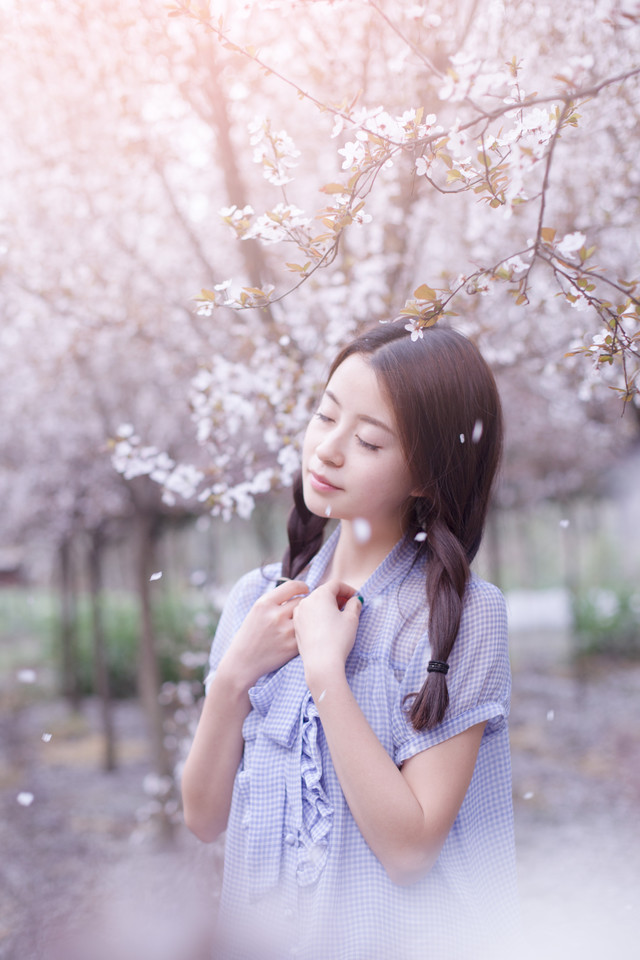 樱花树下的纯情少女