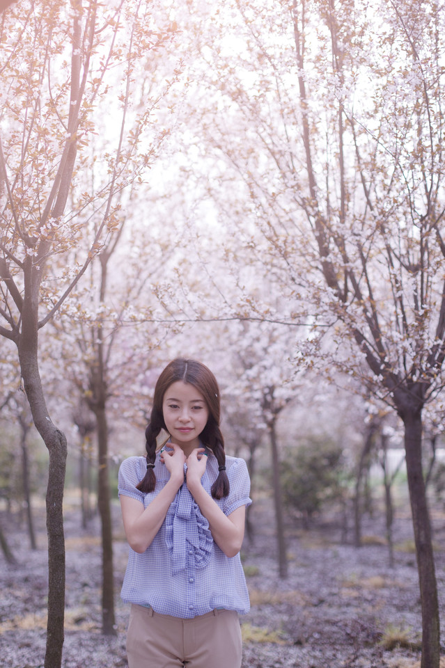 樱花树下的纯情少女