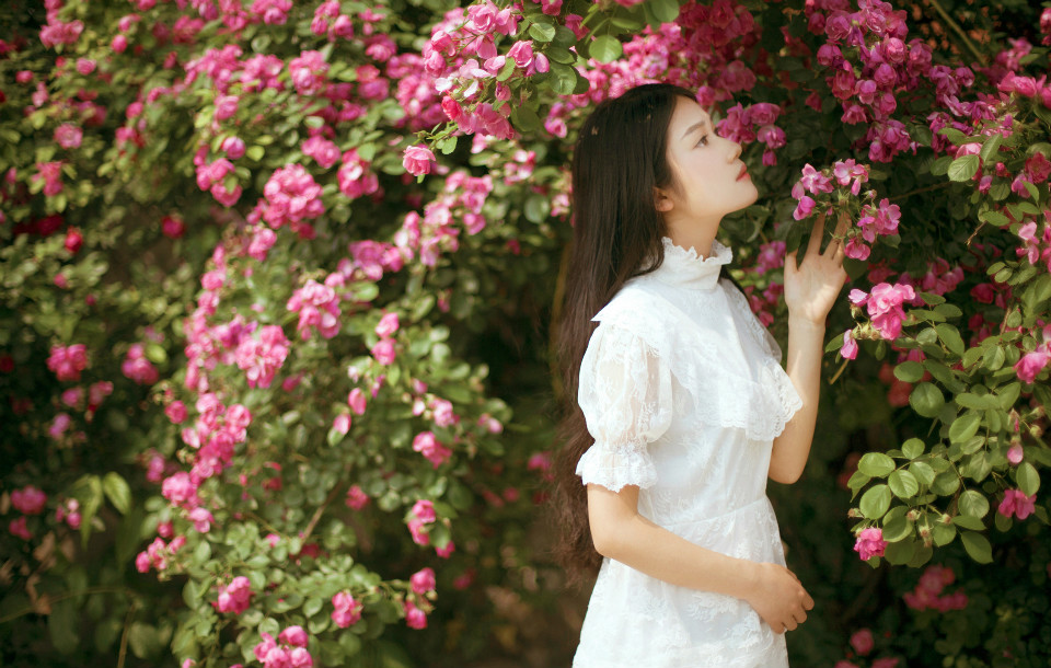 恬静少女花下的绝美容颜