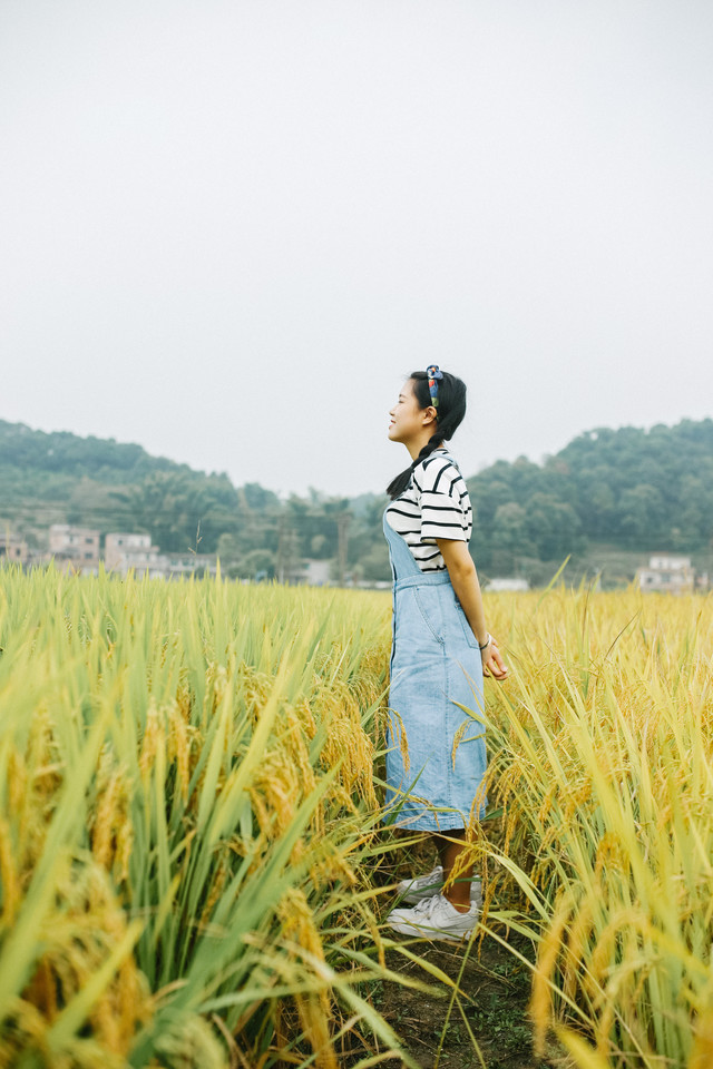 田园姑娘稻香清新