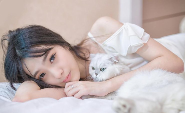 萌妹子与小萌猫