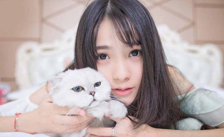 萌妹子与小萌猫