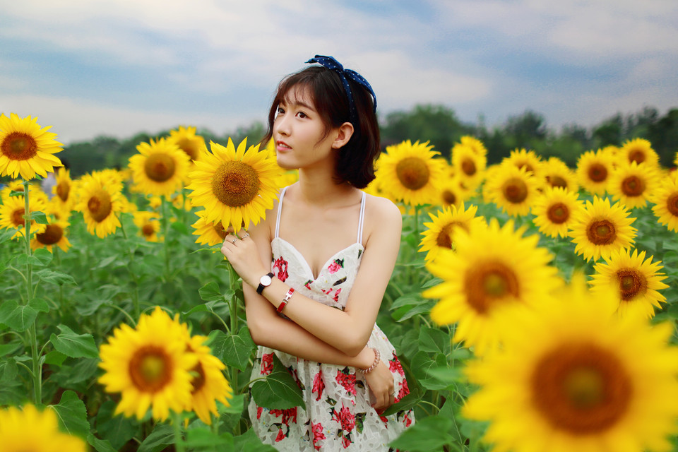 向日葵清新姑娘的笑容