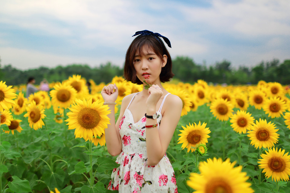 向日葵清新姑娘的笑容