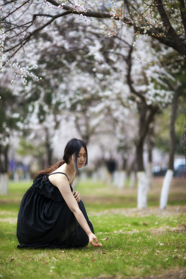 黑裙子落寞美女漫步花海中