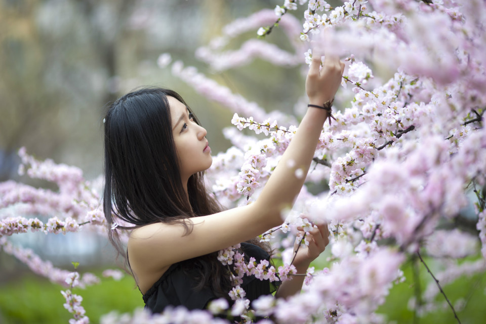 黑裙子落寞美女漫步花海中