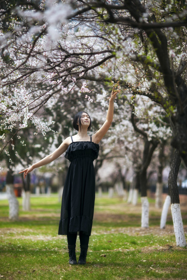 黑裙子落寞美女漫步花海中