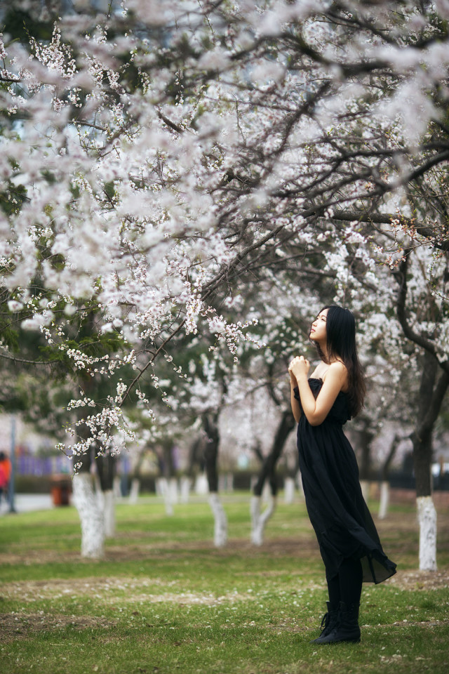 黑裙子落寞美女漫步花海中